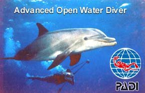 Advanced Open Water Diver