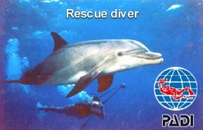 Rescue Diver